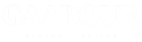 GAABOUR LOGO